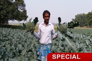 Broccoli cultivation in Pakur