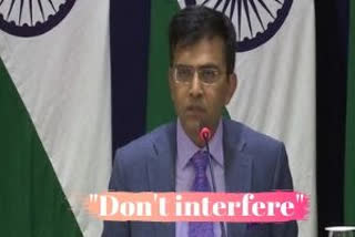 External Affairs Ministry spokesperson Raveesh Kumar