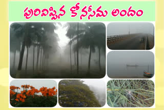 snow in mummidivaram