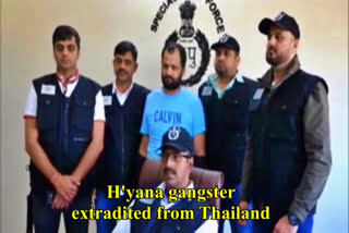 fugitive gangster  gangster extradited from Thailand Raju Bisaudi  Haryana gangster  തായ്‌ലാന്‍റില്‍ അറസ്റ്റിലായ ഗുണ്ടാ നേതാവ്  ഗുണ്ടാ സംഘം നേതാവ് കൗഷല്‍  രാജു ബിസൗഡി