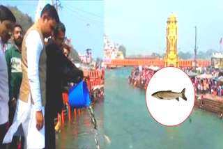 haridwar news