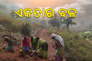 kalahandi district