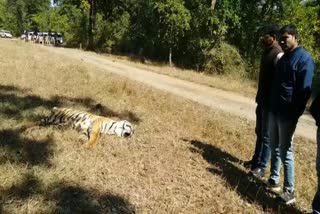 Betla National Park latehar