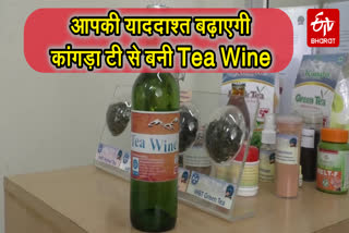 kangra tea wine news, कांगड़ा टी वाइन न्यूज