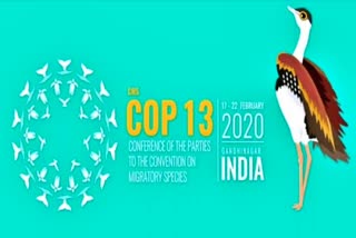 COP 13 INDIA