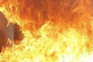 Three forest dept officials killed in wildfire