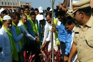 plantation on kcr birthday in gajwel