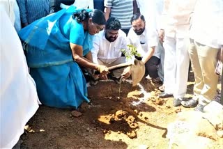 plantation on kcr birthday in mulugu