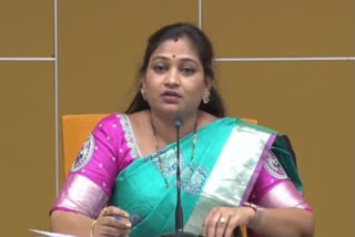 vangalapudi anitha fires on ysrcp government