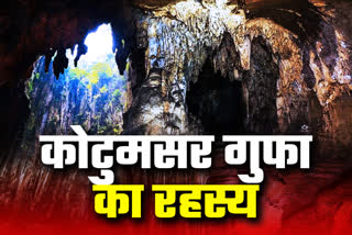 Blind fishes are found in Kotamsar cave in jagdalpur