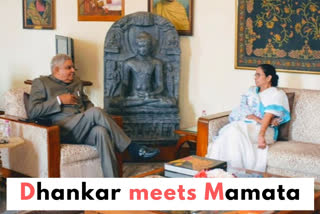 Mamata meets governor