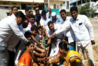 KAGAJNAGAR COUNCIL PLANTS PLANTED