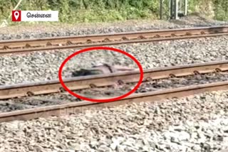 train accident in chennai pallavaram railway station