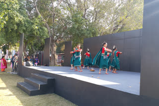 chattisgarh folk dance sua performance in nation school of dance