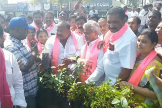 minister gangula distribution of plants on the occasion of cm kcr birthday