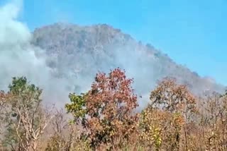 Fire at Ajjigudda jungle