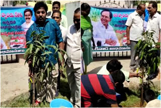 cm kcr  birthday celebrations by his fans in kakinada