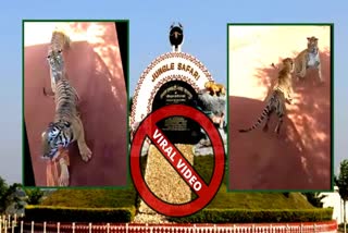 raipur jungle safari viral video