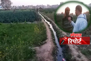 Vegetables are grown in Delhi with dirty sewer water