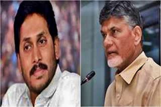 YSRCP accuses TDP