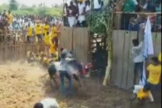 jallikattu competition at malathangkulam