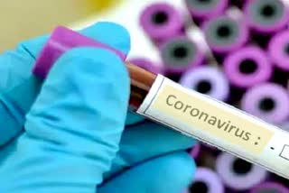 Coronavirus in manesar