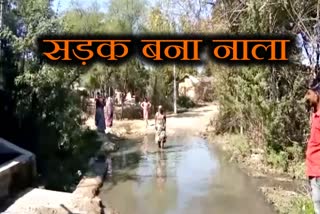 baran road bad condition, baran latest news, बारां ताजा हिंदी खबर, राजस्थान न्यूज, बारां की सड़कों का बुरा हाल