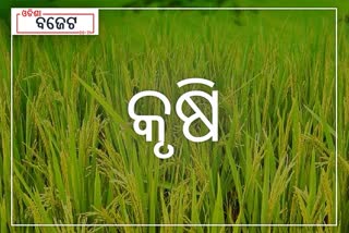 agriculture-budget-of-odisha