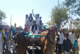 in-charge-minister-vijayalakshmi-sadho-arrives-in-bullock-cart-at-farmers-conference-dhar