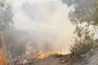 big fire broke out in bushes in ghazipur in delhi