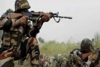 Three militants killed in Pulwama
