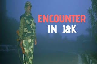 Pulwama encounter  Three militants killed  JK Police  Pulwama  ജമ്മു കശ്‌മീർ  തീവ്രവാദി  സൈന്യം  പുൽവാമ  സുരക്ഷാ സേന