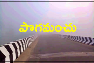 full-of-fog-at-warangal-rural-district