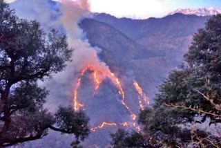 himachal-pradesh-forest-fire-breaks-out-in-chaura-area-of-kinnaur-district