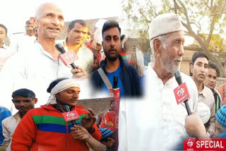 stray cattle destroying crop of farmers in Modinagar of Ghaziabad