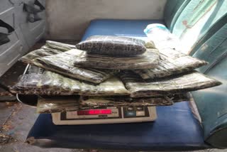 drug smuggling in Kullu