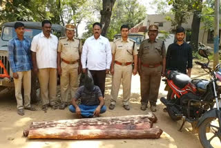 officers Coombing in the jungle and one man arrested and 4 red sandele are seized in y.kota forest in kadapa