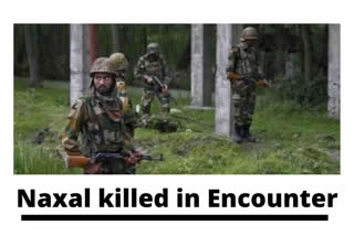 Naxal killed  Chhattisgarh news  Raipur news  Chhattisgarh's Sukma district  Tondamarka village  District Reserve Guard (DRG)  Inspector General of Police (Bastar range) Sundarraj P  CoBRA  Special Task Force  ഛത്തീസ്‌ഗഡില്‍ പൊലീസുമായി നടന്ന ഏറ്റുമുട്ടലില്‍  നക്സല്‍ കൊല്ലപ്പെട്ടു  റായ്പൂർ വാർത്ത  തോണ്ടമാർക്ക ഗ്രാമം