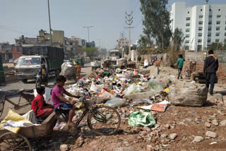 Garbage lying on the road