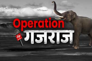 Operation Gajraj