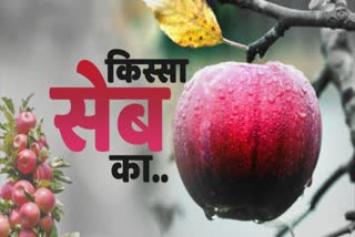 special story on apple cultivation in himachal