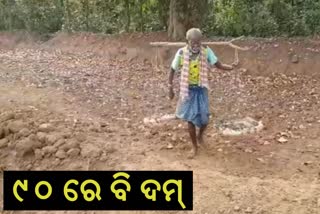 ଚାଷ କରିବାର ସ୍ପୃହା ଆଗରେ ପ୍ରତିବନ୍ଧକ ସାଜିନି ବୟସ