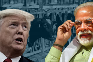 'With or without trade deal, Trump-Modi success hinges on precise messaging'