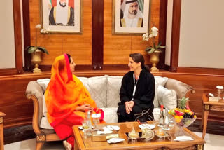 UAE discuss ways to increase cooperation in food security with India