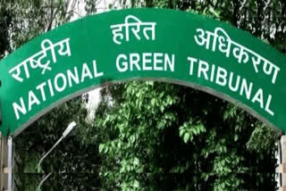 NGT dismisses Uttar Pradesh government notice