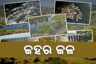 mahanadi-pollution-costs-lifeline-in-odisha