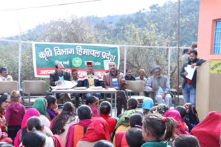 Awareness camp for farmers in Halyatar mandi, हल्यातर में किसानों के लिए जागरूकता शिविर का आयोजन