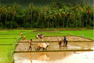 crop insurance scheme