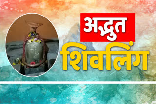 ardhnareshwar bholenath shivling