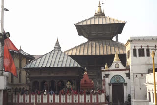 pre  mahashivratri pictures from pashupatinath dham